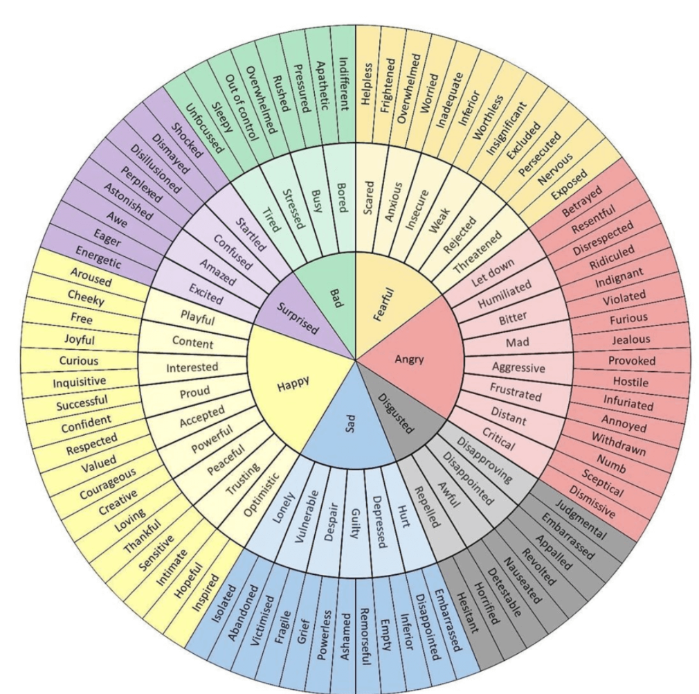 DBT Emotion Wheel: Colorful circular diagram showing primary, secondary, and tertiary emotions. Tool for identifying and understanding feelings in Dialectical Behavior Therapy.