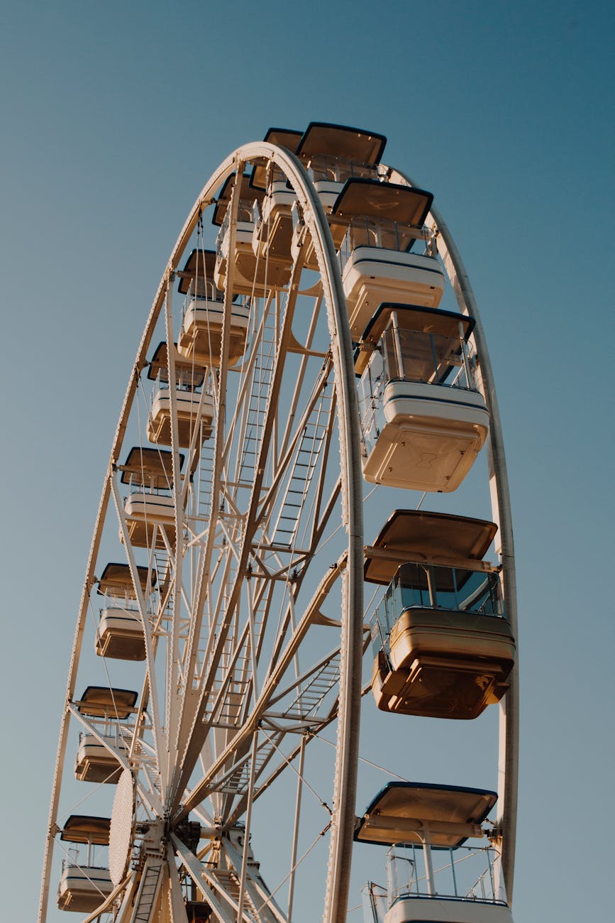 selective focus photography of ferris wheel