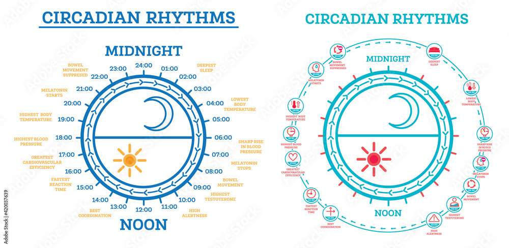 Circadian Rhythm Set. Scheme of Sleep Wake Cycle.